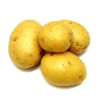 Potato