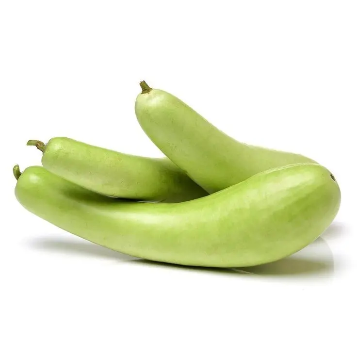 Bottle gourd