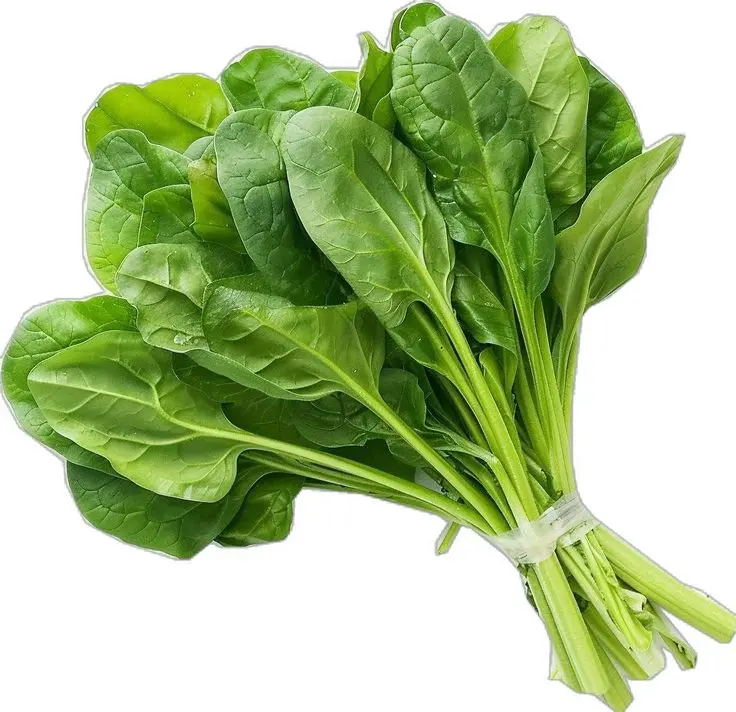 Spinach