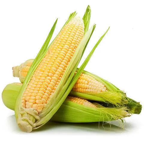 Corn