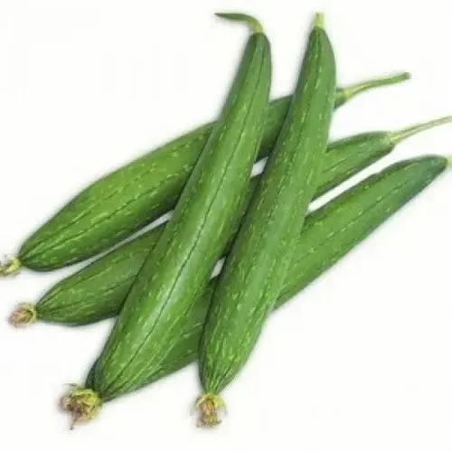 Sponge gourd ( torai )