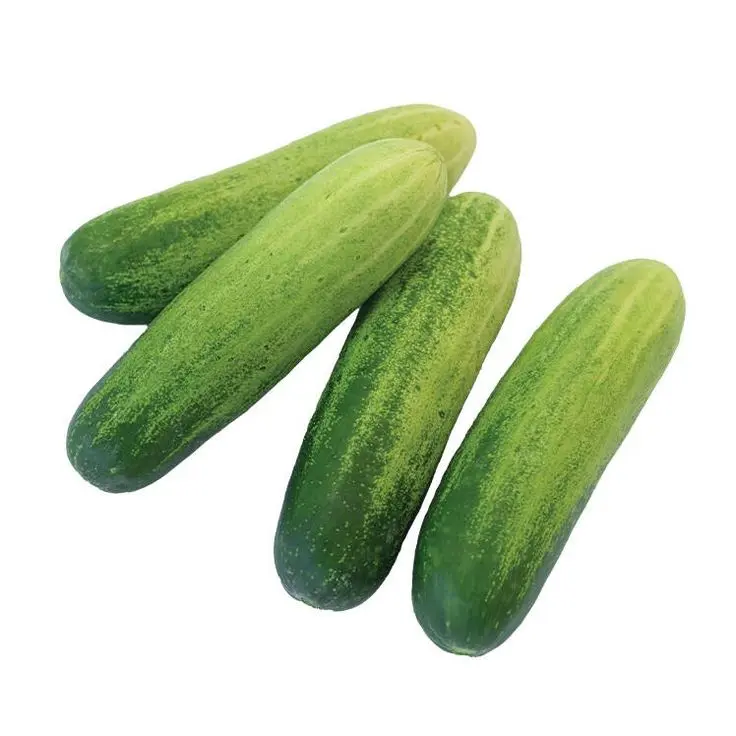 Desi cucumber