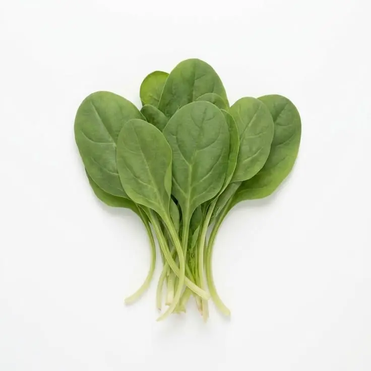 Spinach